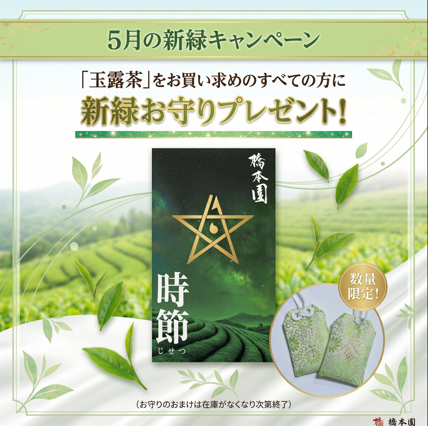 玉露茶_時節